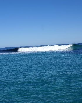 seal island