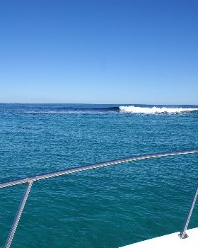 seal island