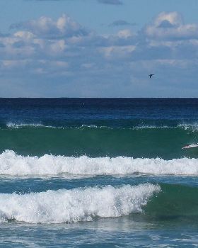 2.L-Kai 12'6 surfing