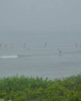 Crappy, foggy day at SUPville