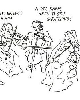 viola joke 1