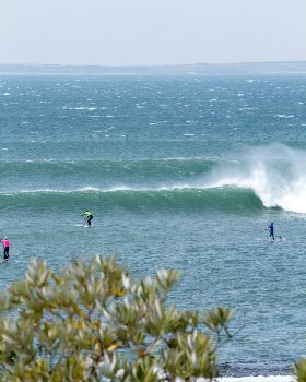 Point Leo comp