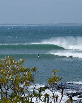 Point Leo comp