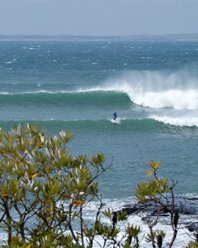 Point Leo comp
