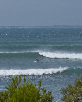 Point Leo comp