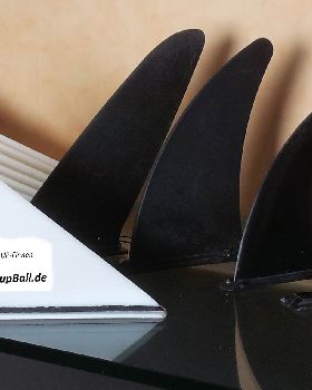 Finnen6Brand