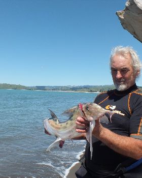 Fishing....