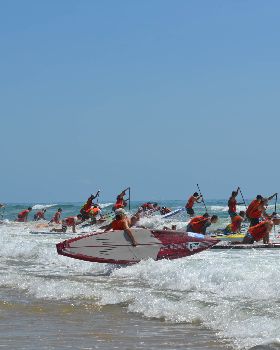 Stand Up Paddle