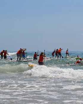 Stand Up Paddle