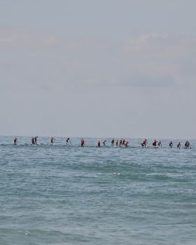 Stand Up Paddle