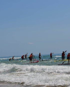 Stand Up Paddle