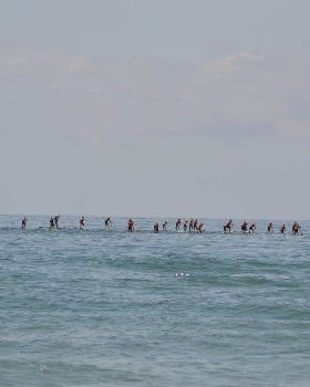 Stand Up Paddle