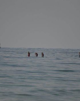Stand Up Paddle