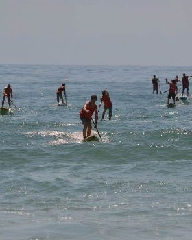 Stand Up Paddle