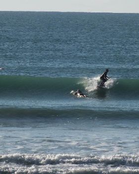Small surf