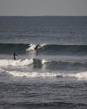 Stand Up Paddle