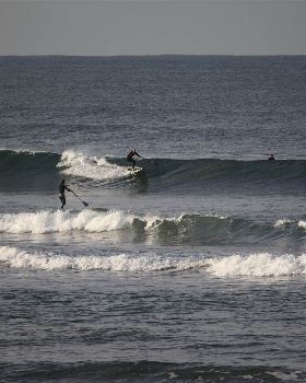 Stand Up Paddle