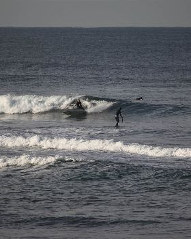 Stand Up Paddle