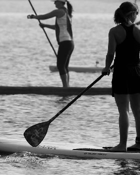 Stand Up Paddle