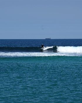 seal island friday
