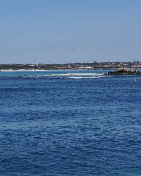 seal island friday