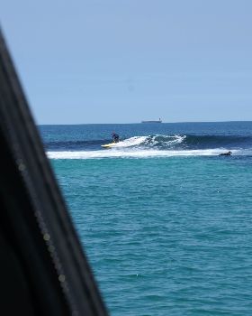 seal island friday