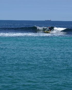 seal island friday