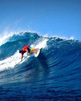 dogman fiji frigate carve 1