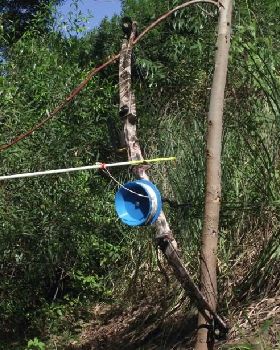 65lb Bowfishing compound with carp point and standard non-Dyneema line