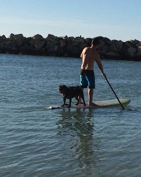 Stand Up Paddle