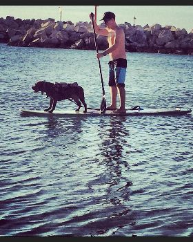 Stand Up Paddle