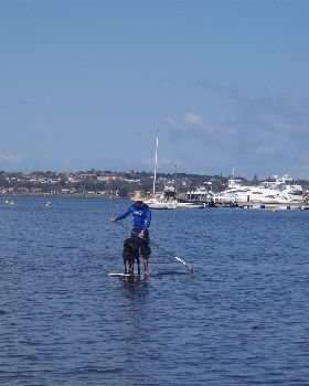 Stand Up Paddle