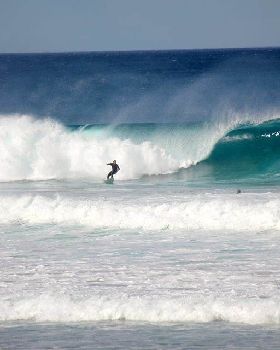 Auck Surf