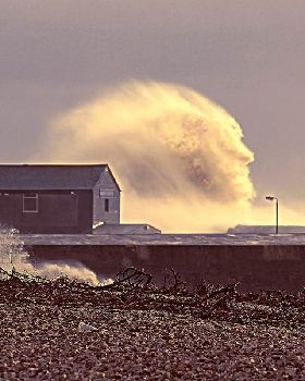 o-FACE-WAVE-900