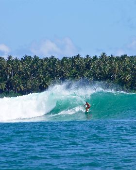 DSC07354