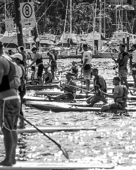 Pittwater festival 2014