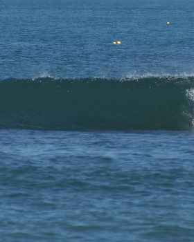 DSC01195