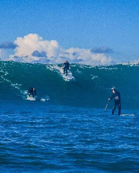 Scotts comp-266