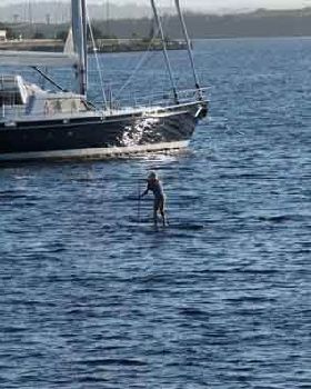 Strahan Harbour Tassi