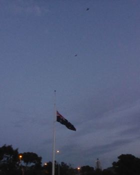 P1000233