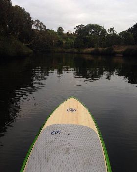 Great Morning for a paddle on the Maribyrnong River