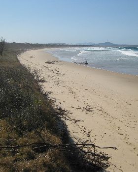 Scotts Head signs 019