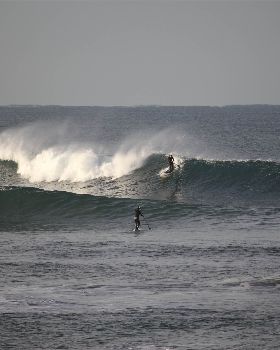Stand Up Paddle
