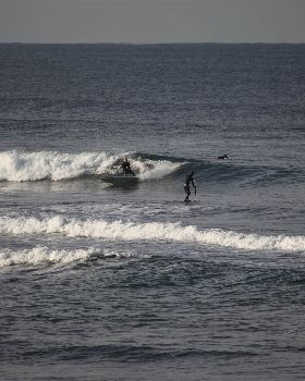 Stand Up Paddle