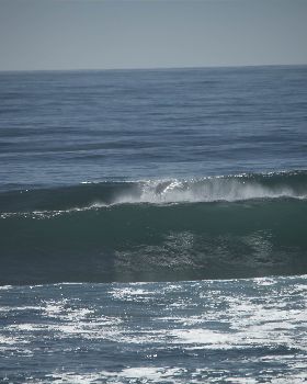 photos