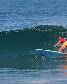 NSW Sup Titles 2014