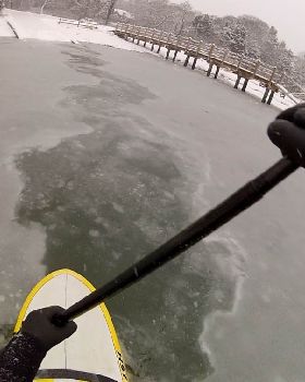 Stand Up Paddle
