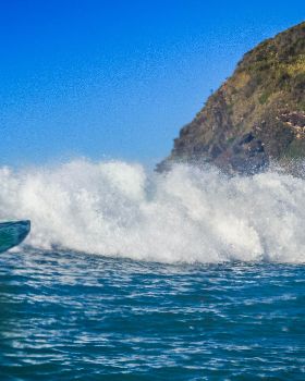 Scotts comp-244