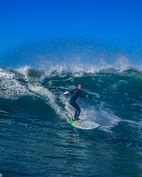 Scotts comp-288