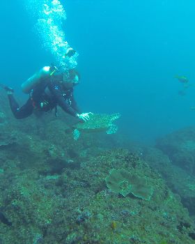 GOPR0245